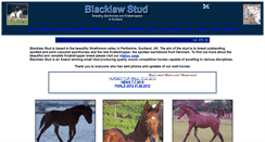 Desktop Screenshot of blacklaw-stud.com